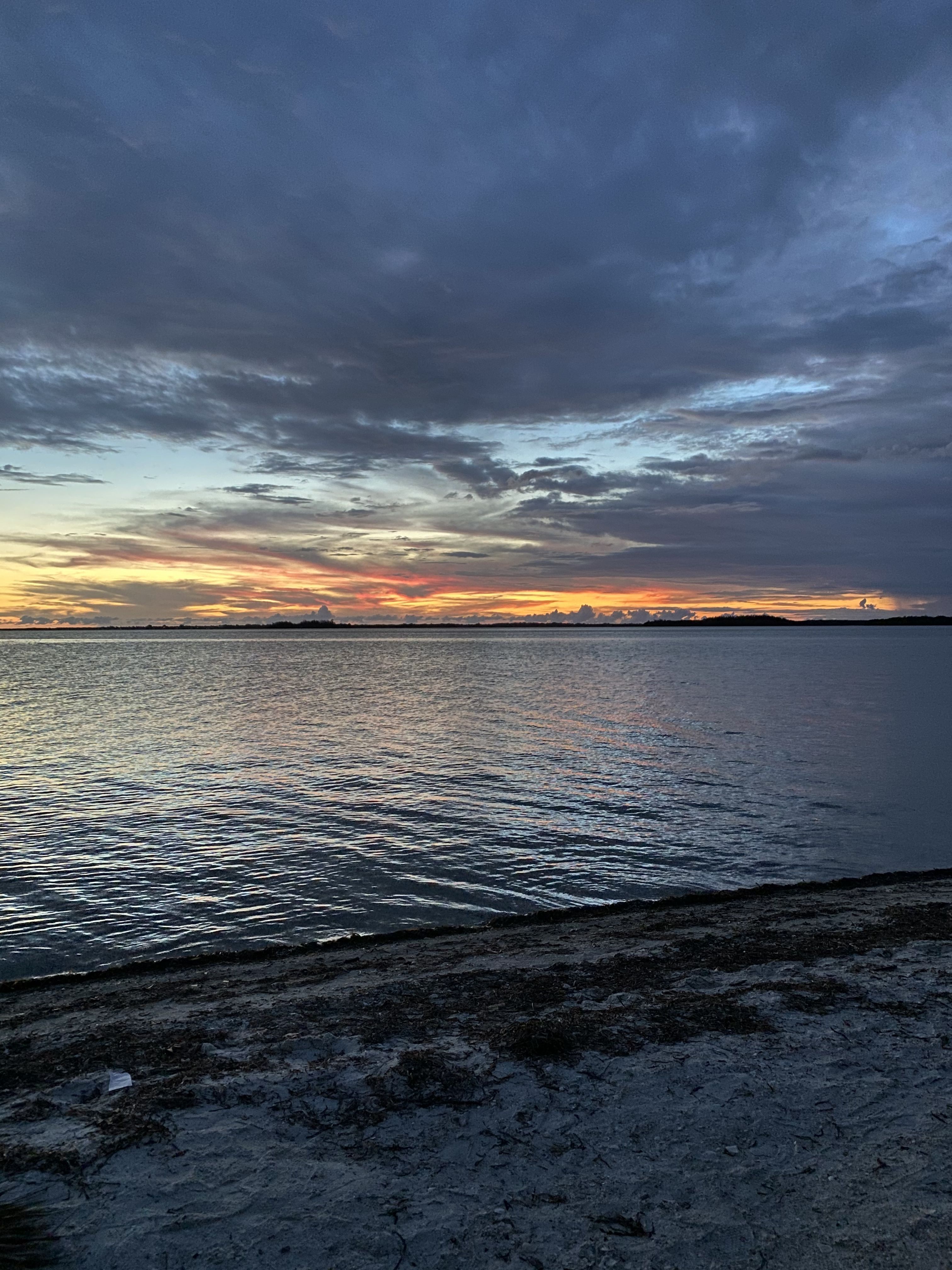 onlyfans Erin rose profile banner