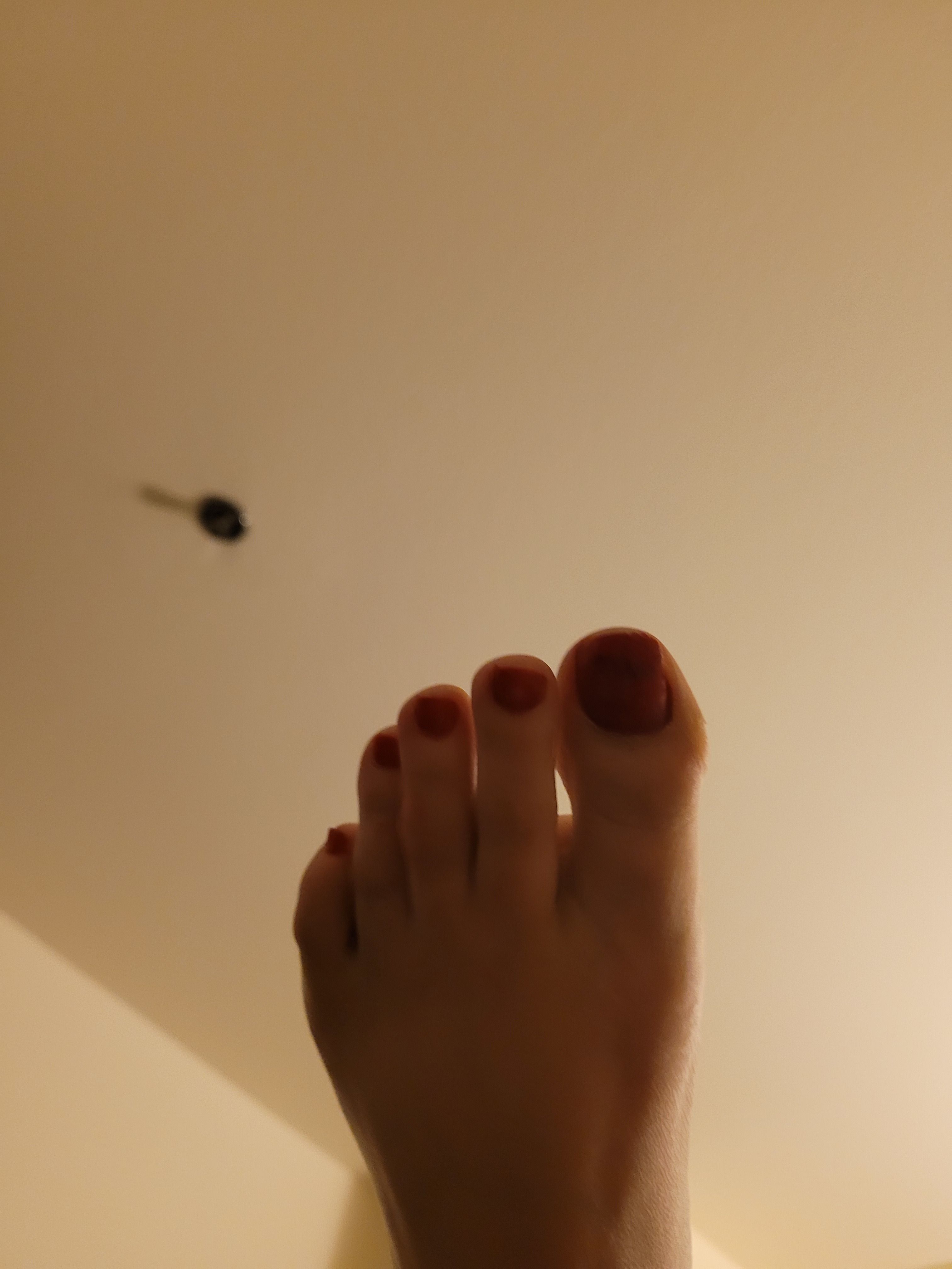 onlyfans Michelle Castaneda profile banner  