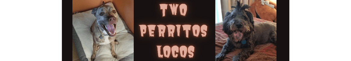 onlyfans TwoPerritosLocos profile banner  