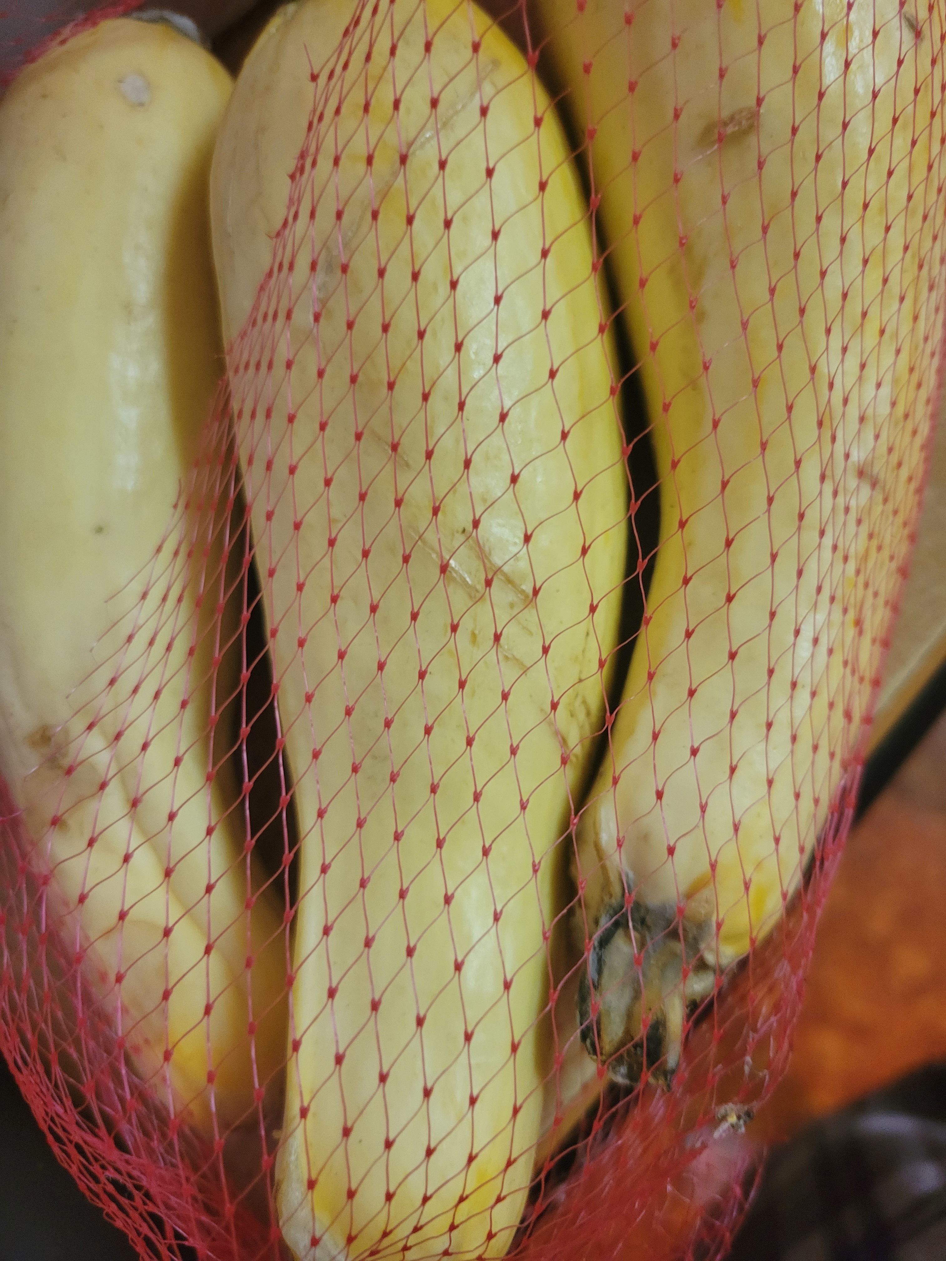 onlyfans fun bunny profile banner