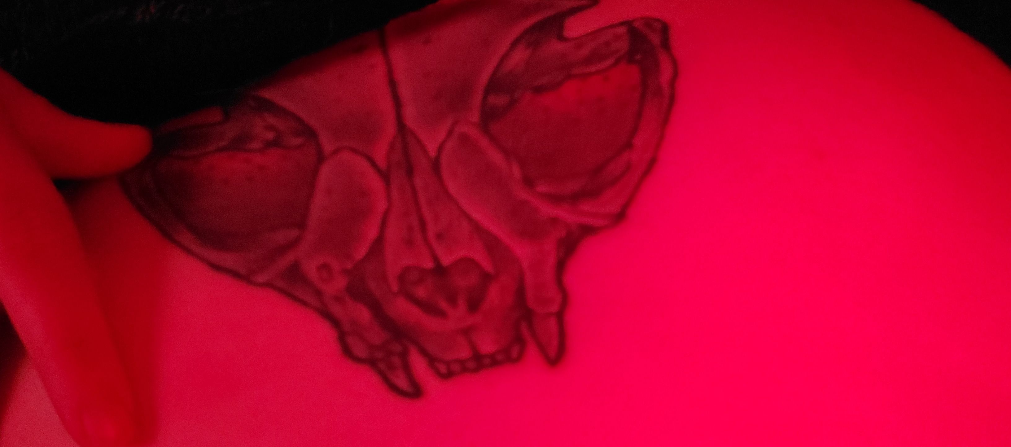 onlyfans PlagueDaddy profile banner  