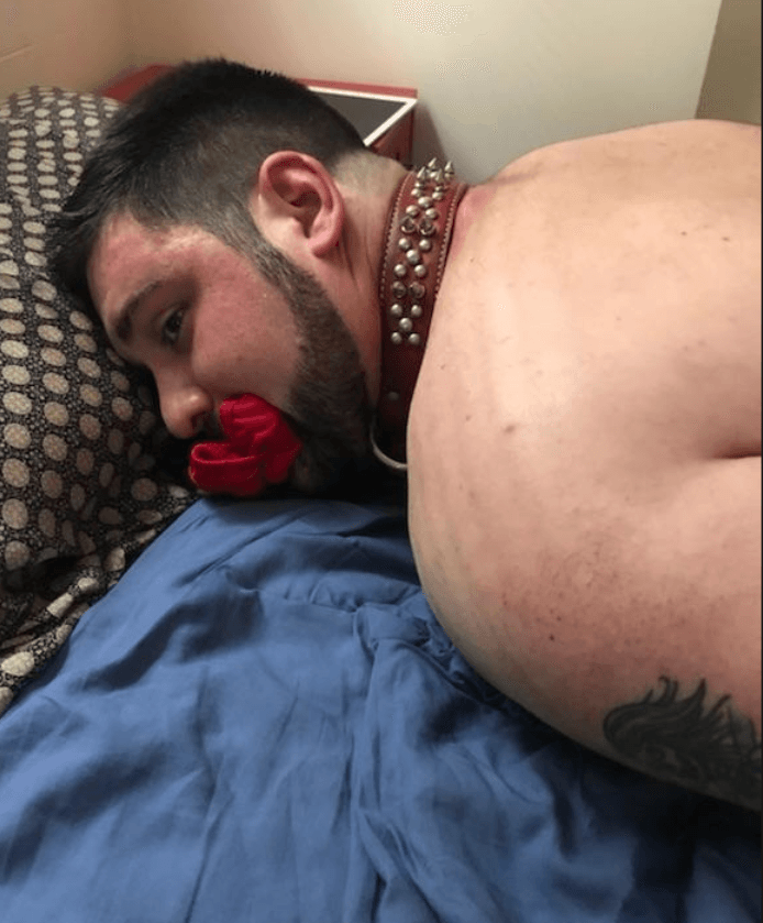 onlyfans Andy Bear profile banner