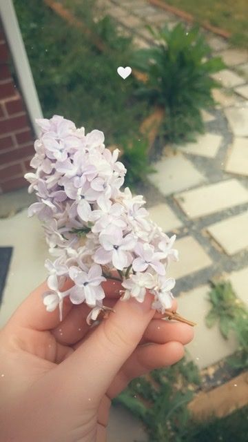 onlyfans Silver profile banner