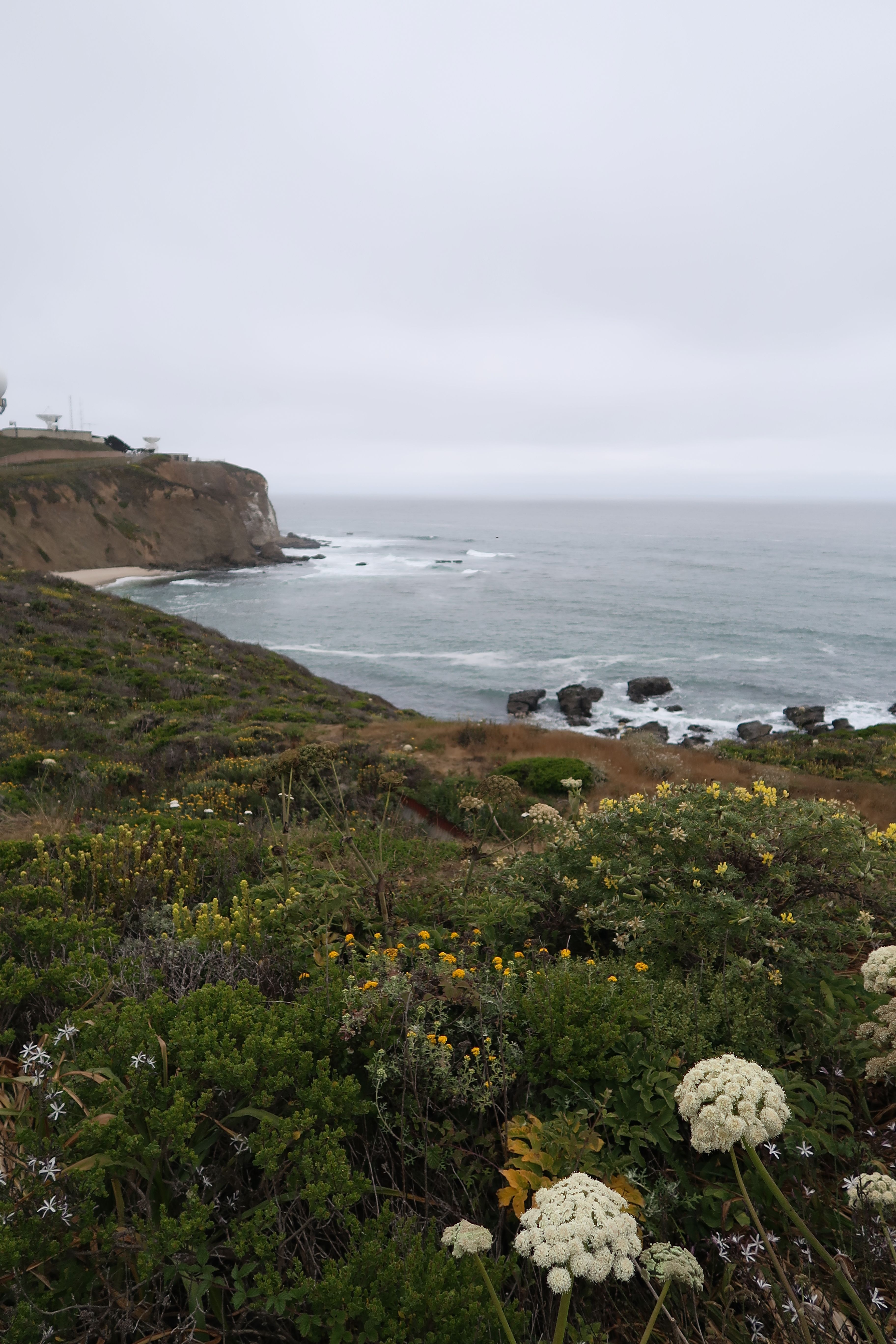 onlyfans Megan profile banner