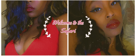 onlyfans Cat profile banner  