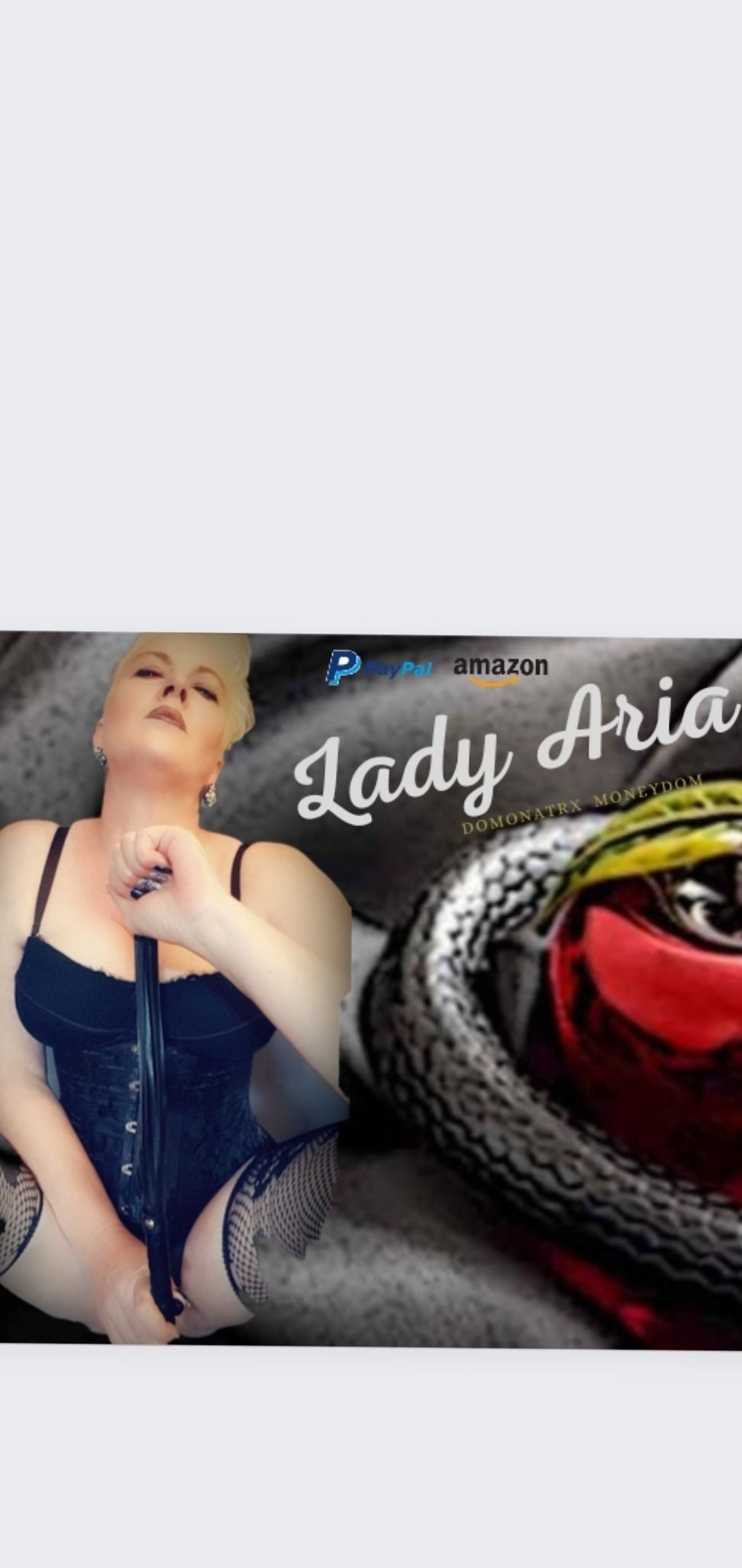 onlyfans Lady_Aria2602 profile banner  