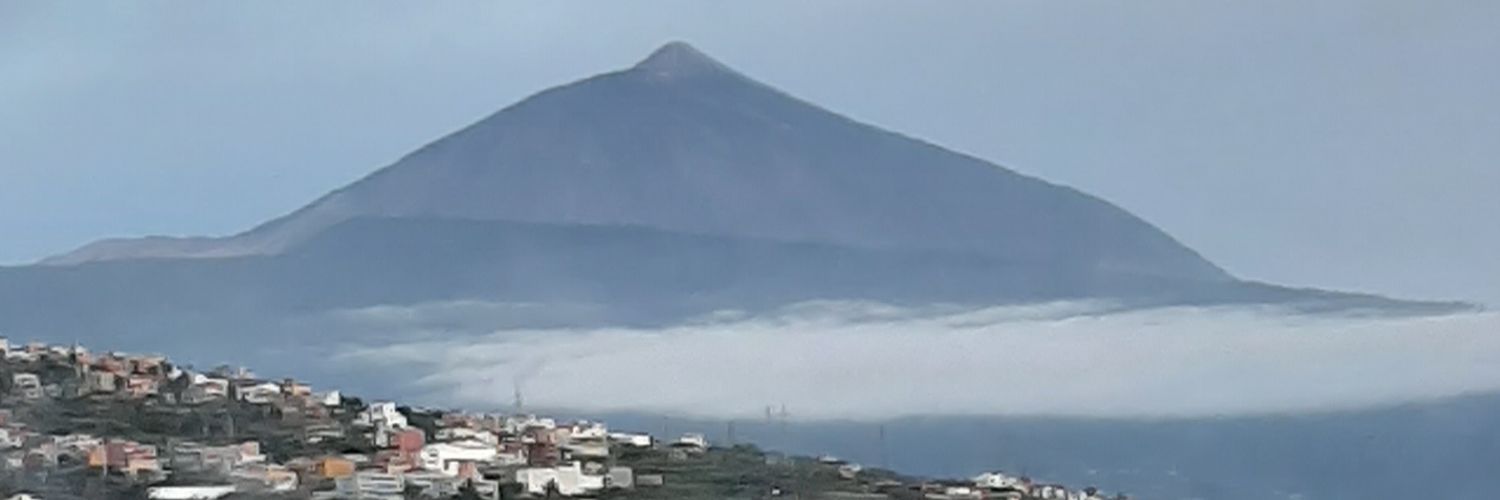 onlyfans 🐒Monoso🐻 profile banner