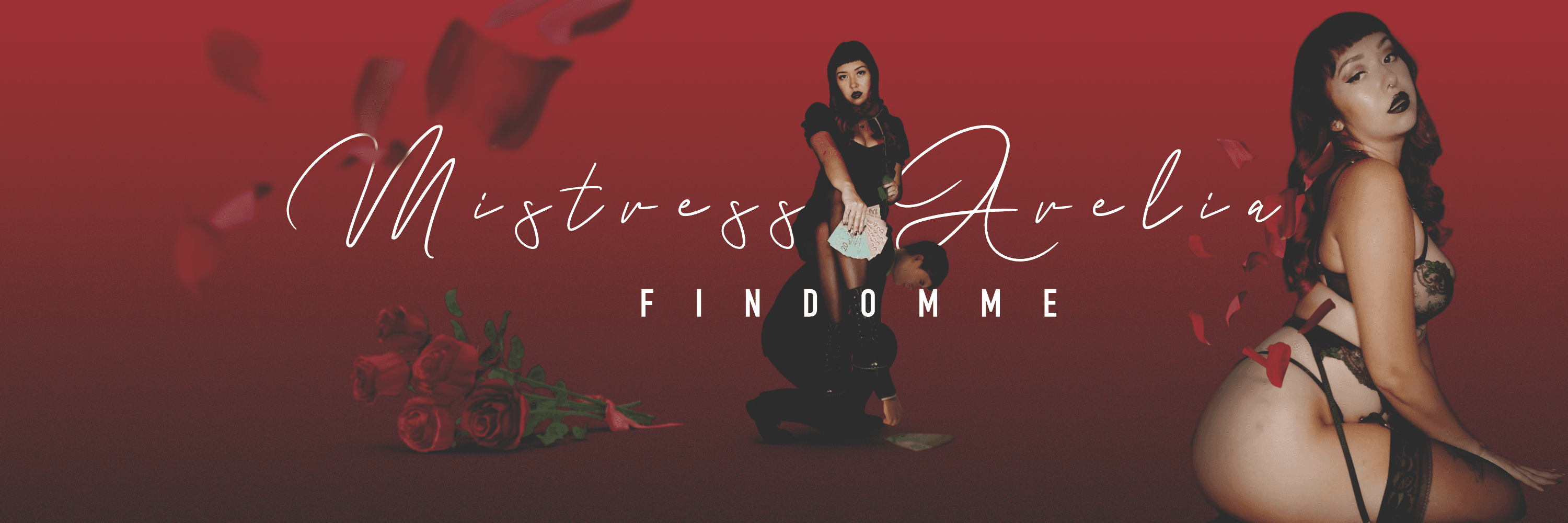 onlyfans a r e l i a 🌹 {CLOSED ~ FIND ME ON LF} profile banner  