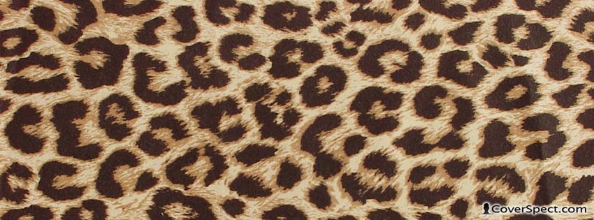 onlyfans Kittens profile banner  