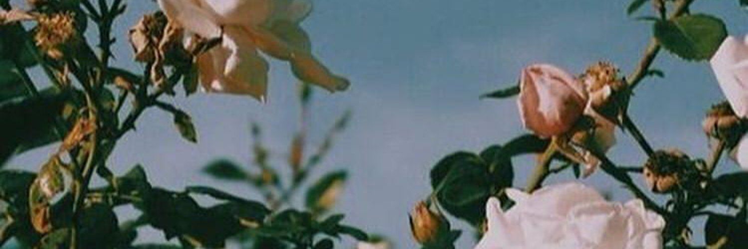 onlyfans u33981652 profile banner