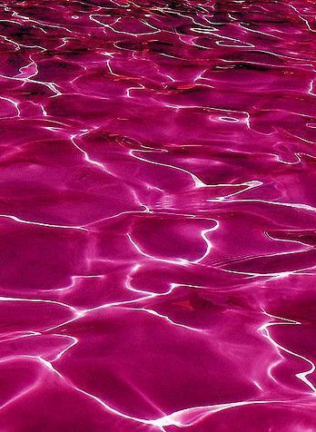 onlyfans preciouschula profile banner  