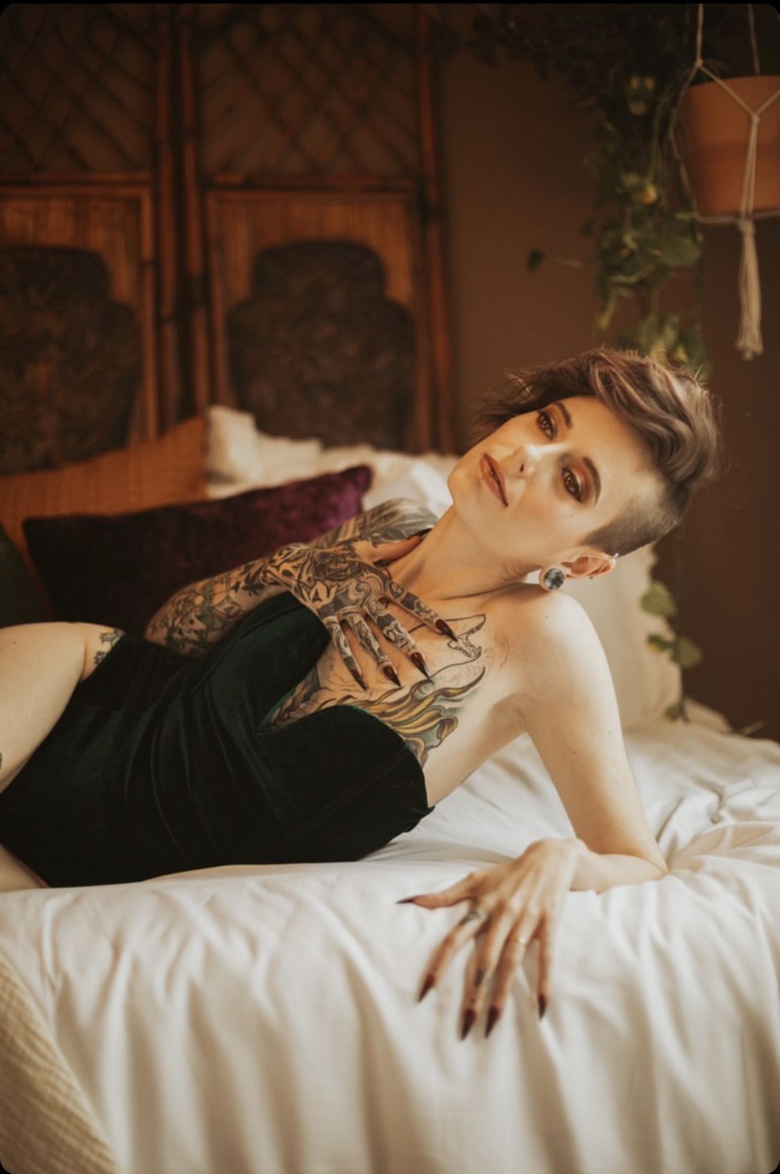 onlyfans Ripley profile banner  