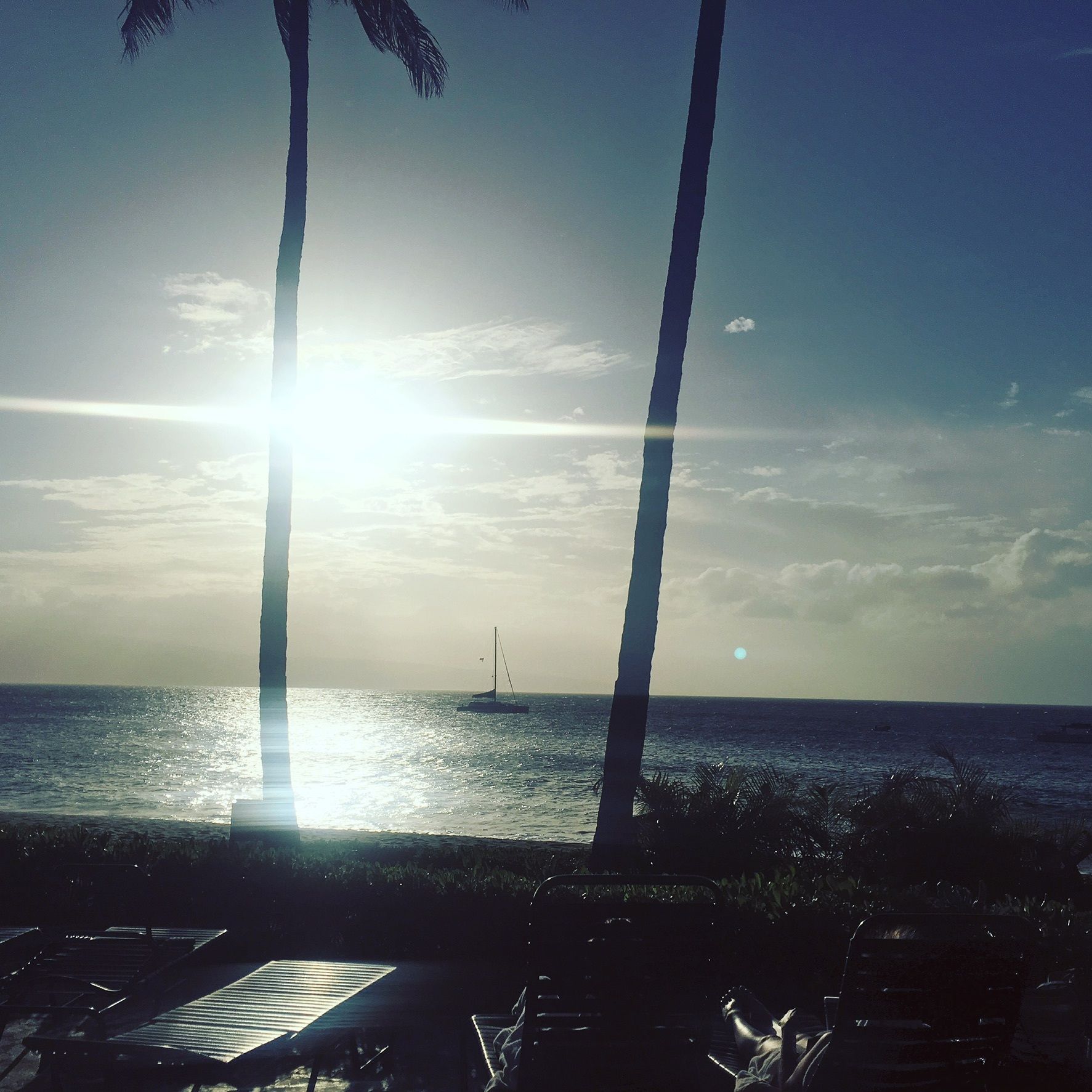 onlyfans Layla profile banner  