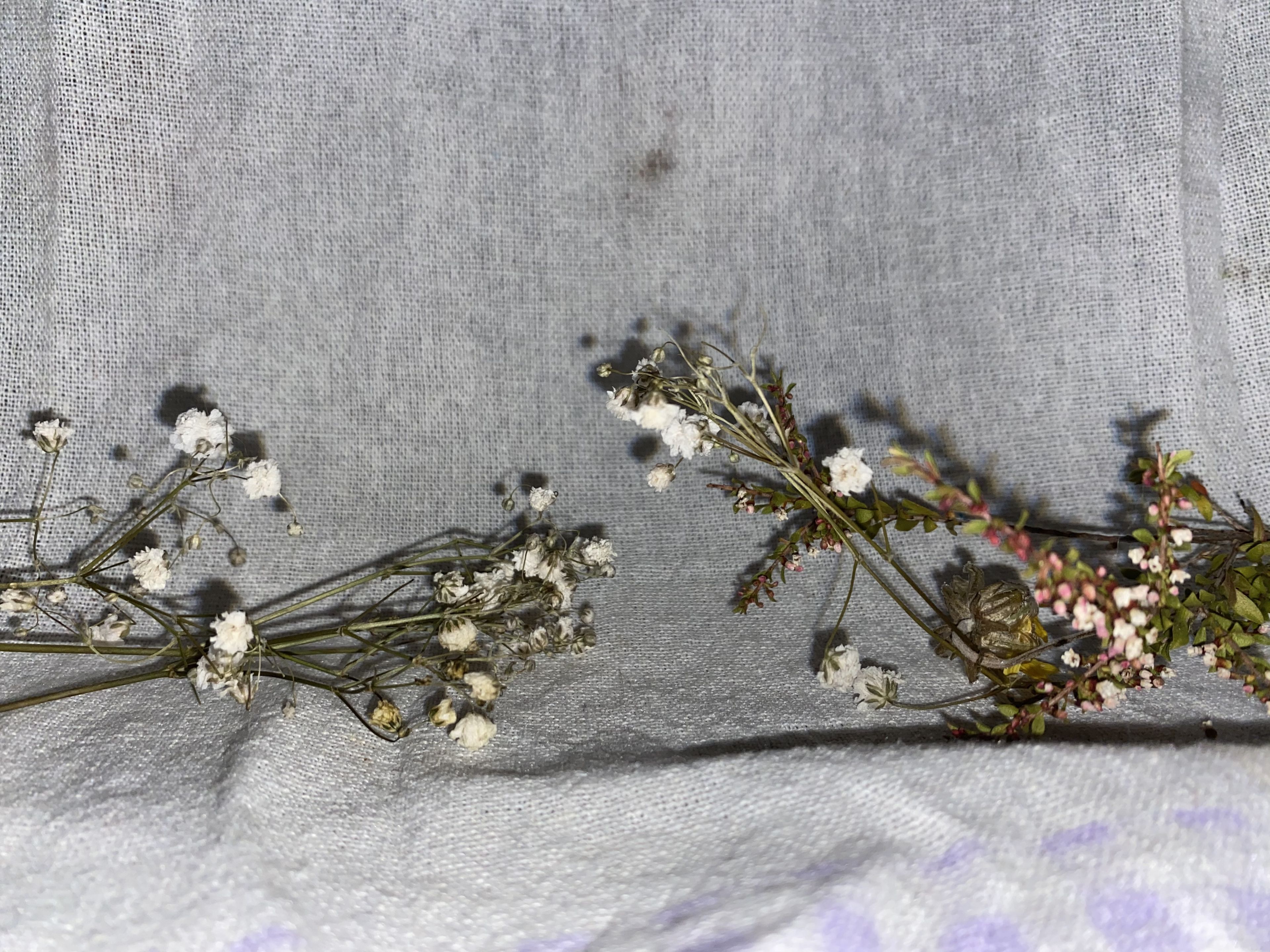 onlyfans Moaning meggy FREEE profile banner