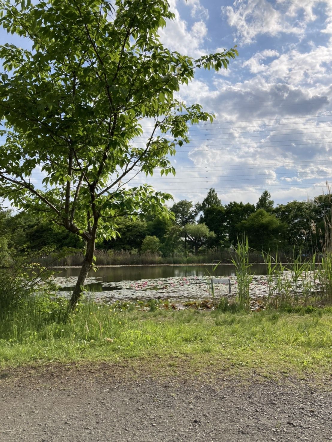 onlyfans Profmankoski profile banner