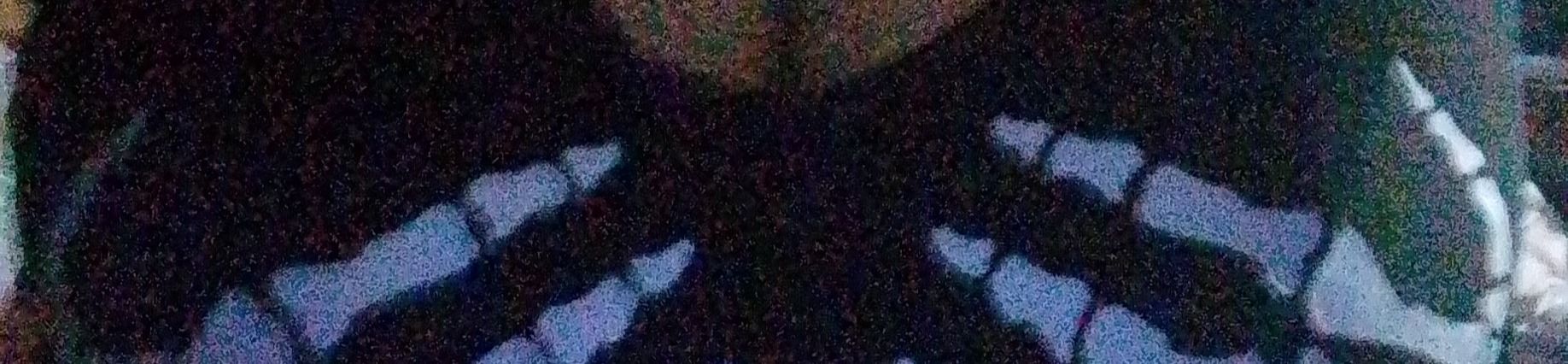 loverfans Perrete69 profile banner