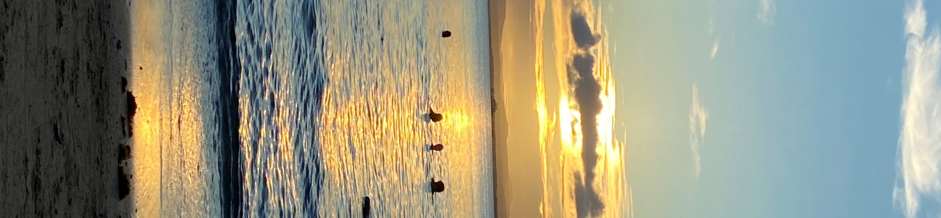 loverfans vivilf profile banner