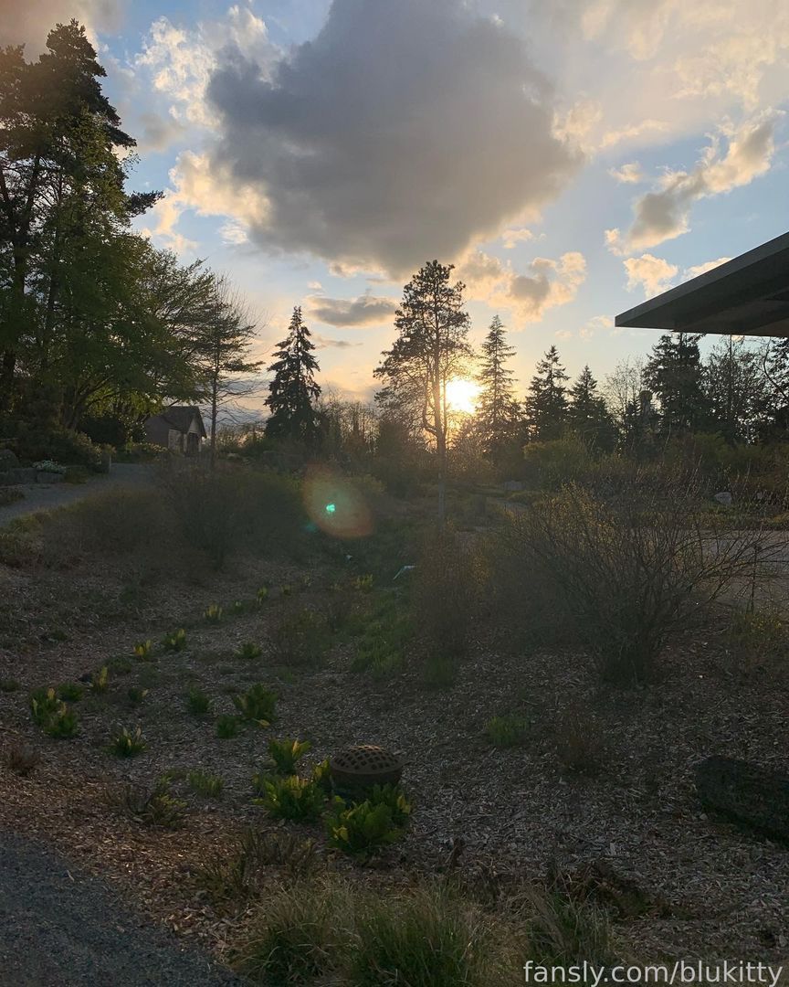 fansly slxt.4.u profile banner