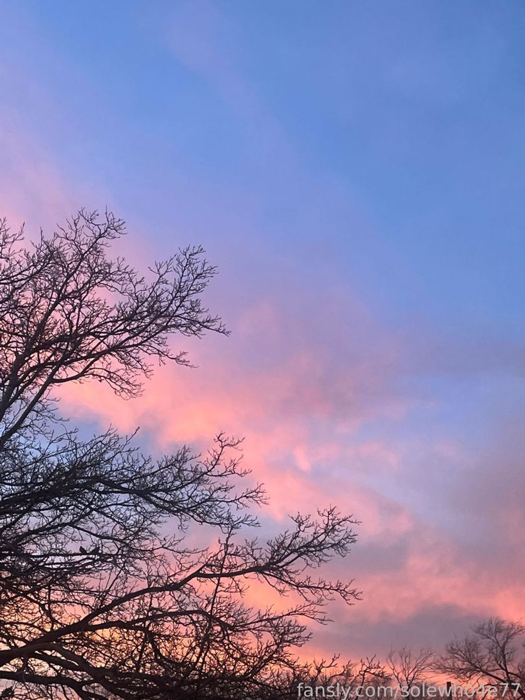 fansly Eden Hall profile banner