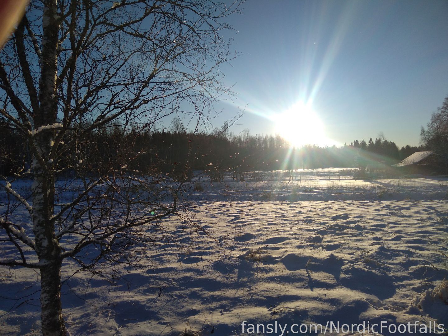 fansly NordicFootfalls profile banner