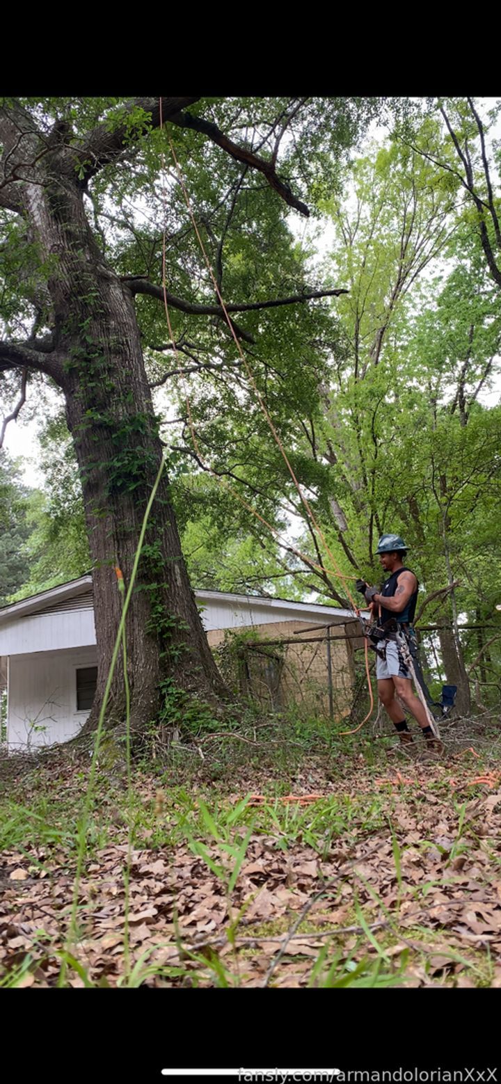 fansly Deep She Diver profile banner