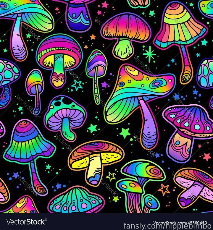 fansly hippiebimbo profile banner