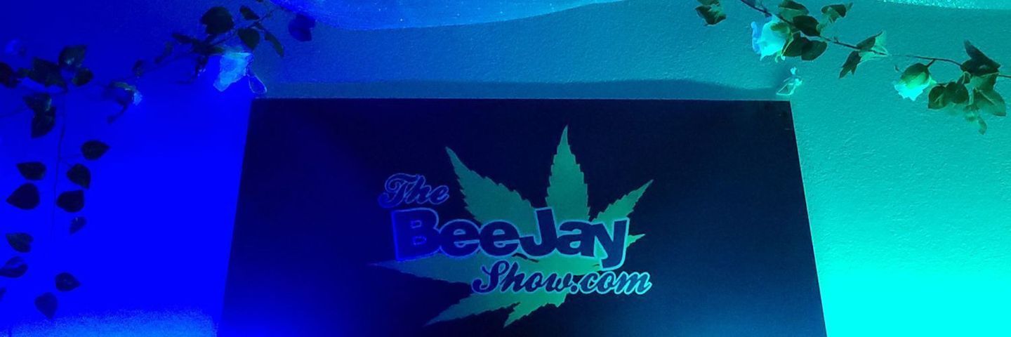 fansly TheBeeJayShow profile banner