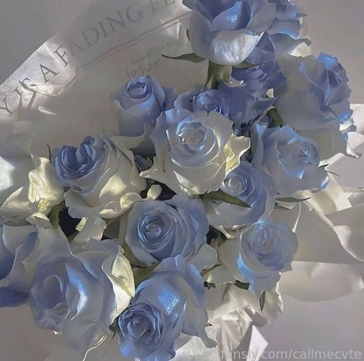 fansly val <3 profile banner