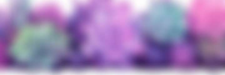 fansly Ryland Sage profile banner