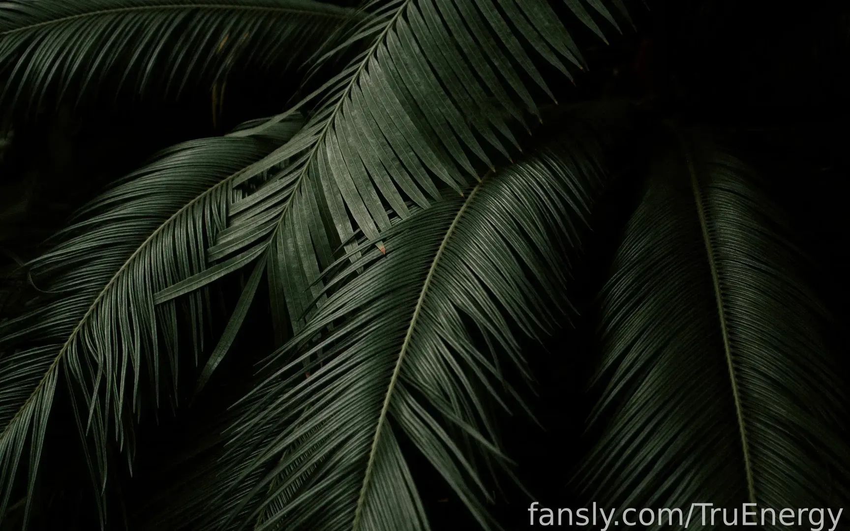 fansly TruEnergy profile banner