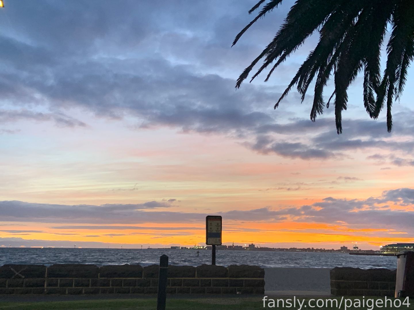 fansly paigeho4 profile banner