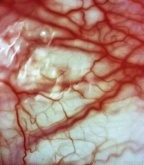 fansly Lemmy :3 profile banner