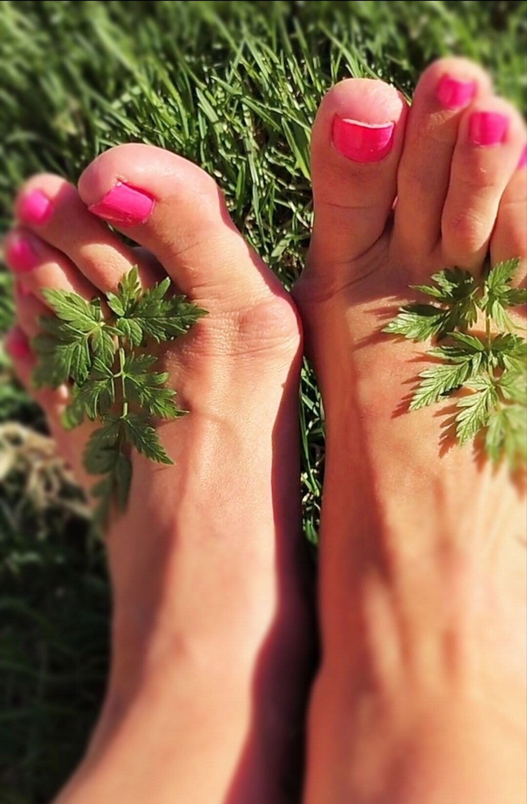 onlyfans The Fetish Domme profile banner