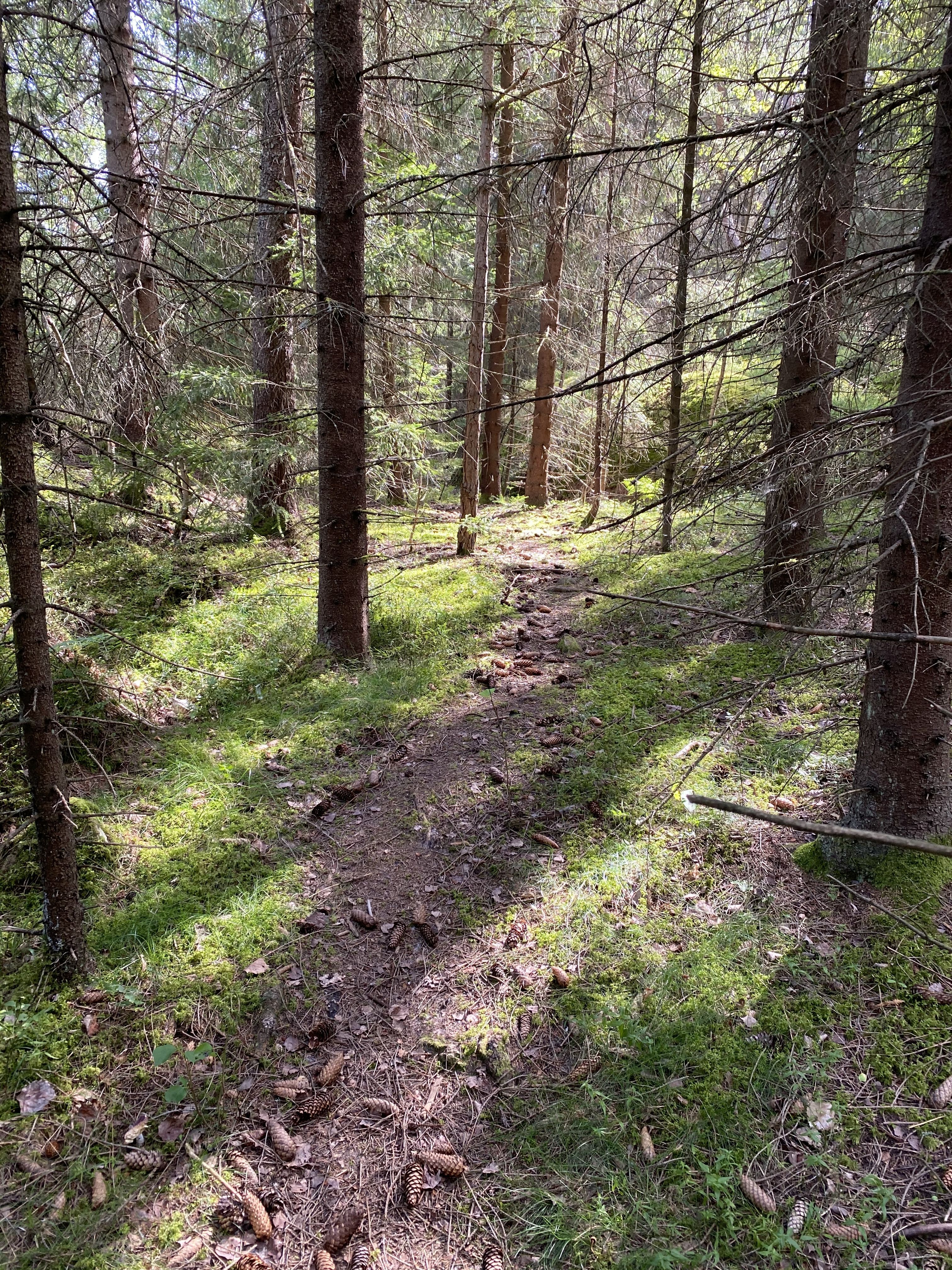 onlyfans MaryKay profile banner