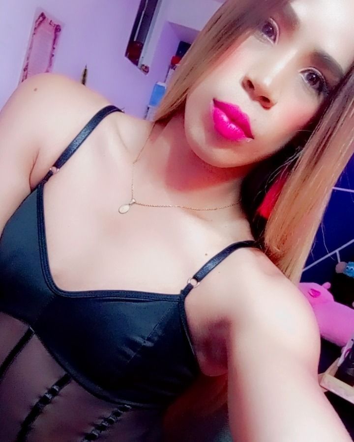 onlyfans sofia castillo profile banner