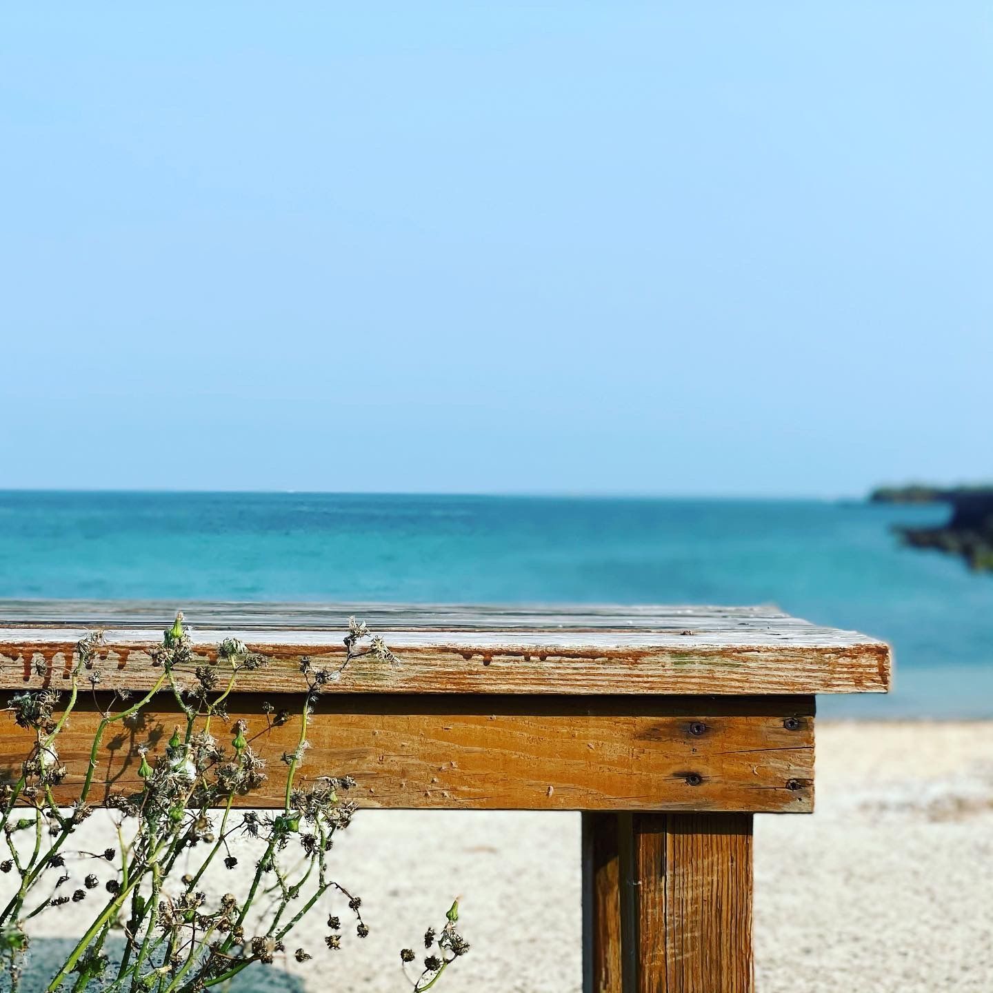 onlyfans 何麥枒的私密寫真 profile banner