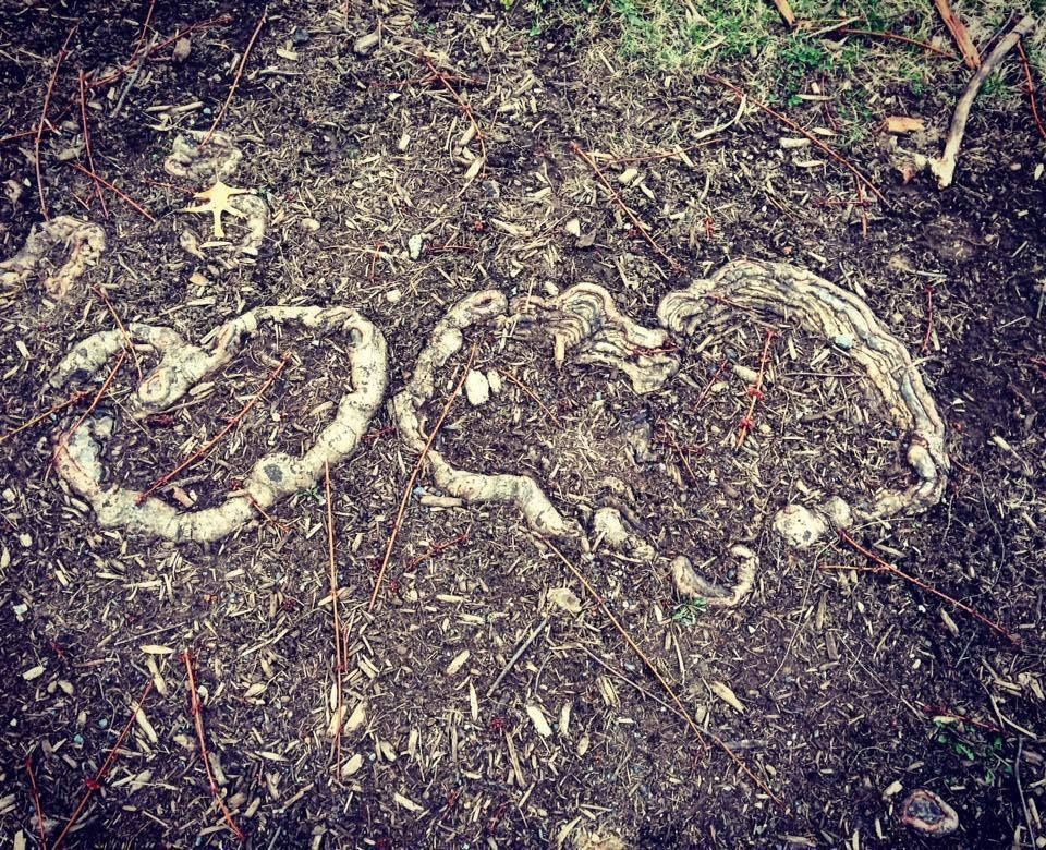 onlyfans u10059858 profile banner