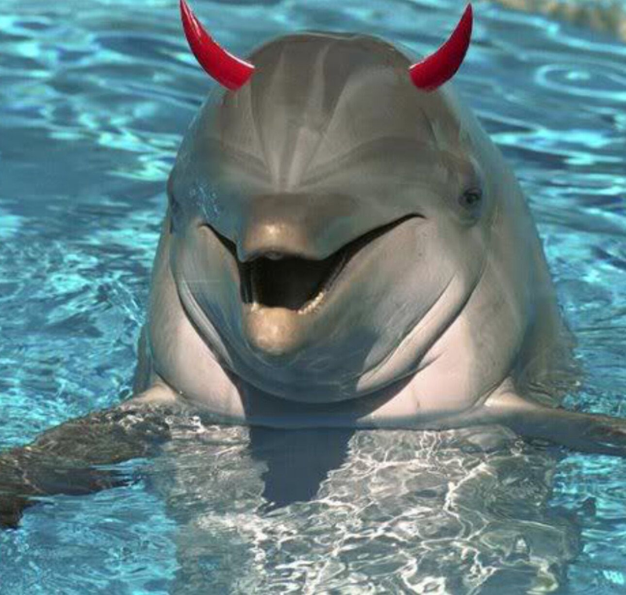 onlyfans SeaGlass profile banner