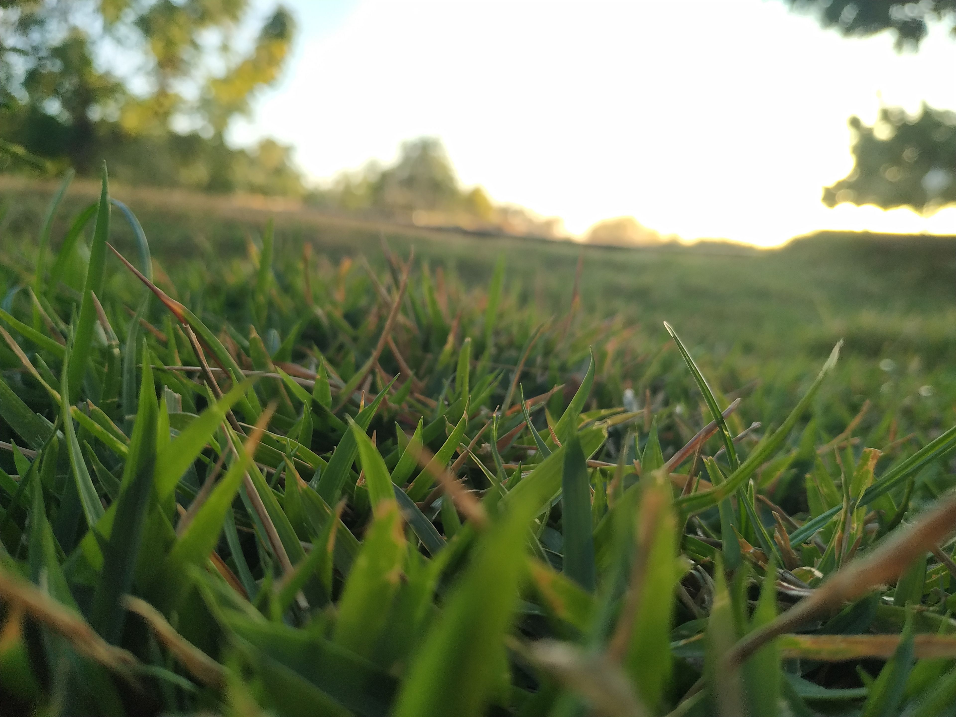 onlyfans J Victor profile banner