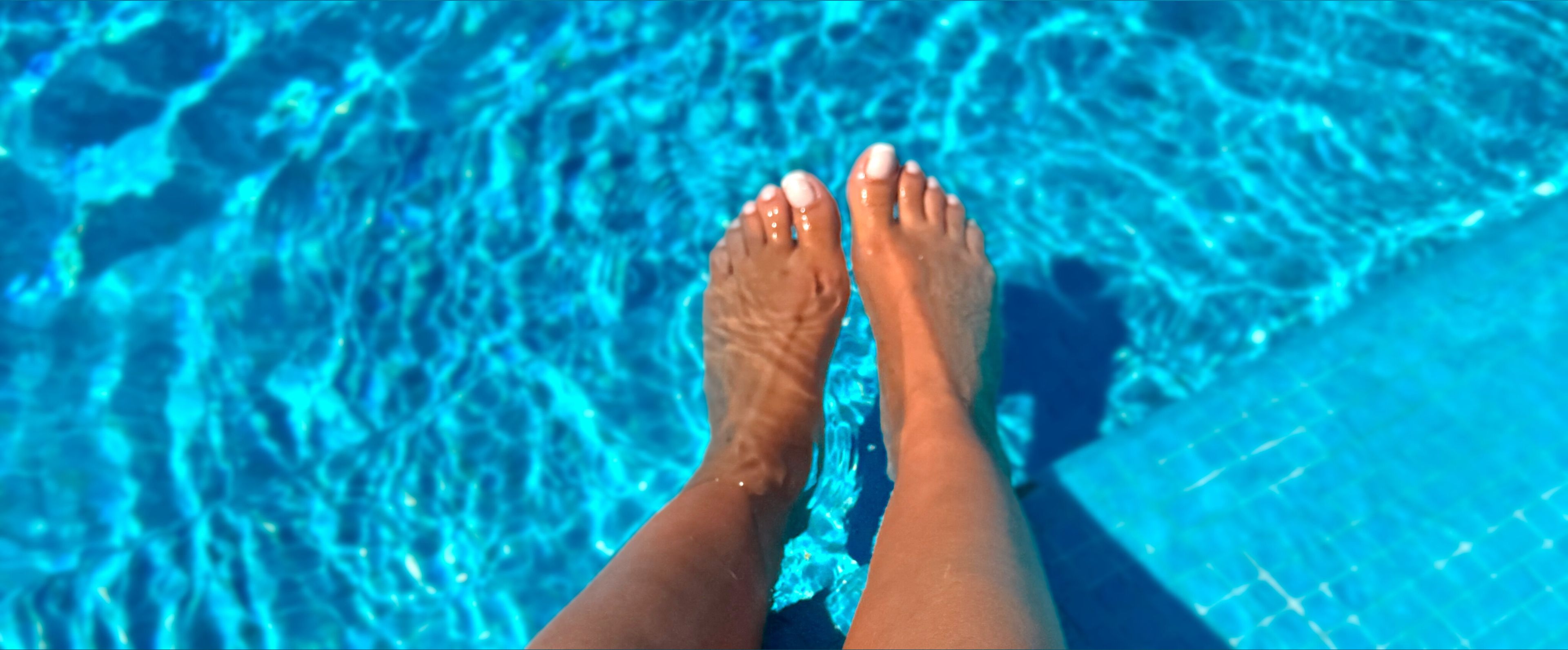 onlyfans Aria Rose Toes ๐ฃ profile banner