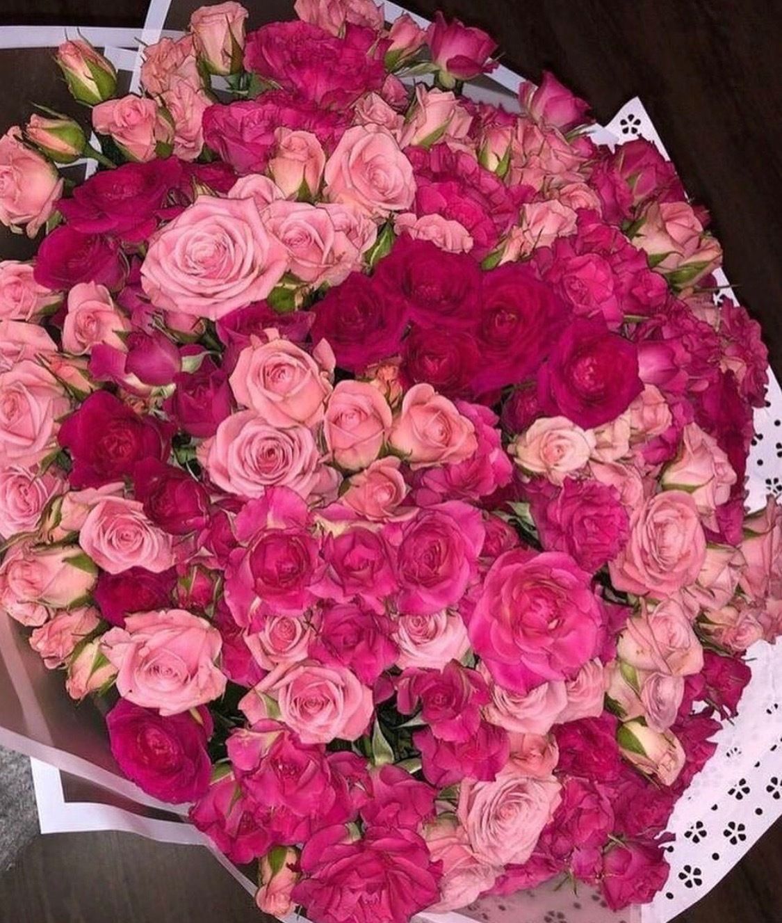 onlyfans π«πππ»πΎπ π¦ profile banner