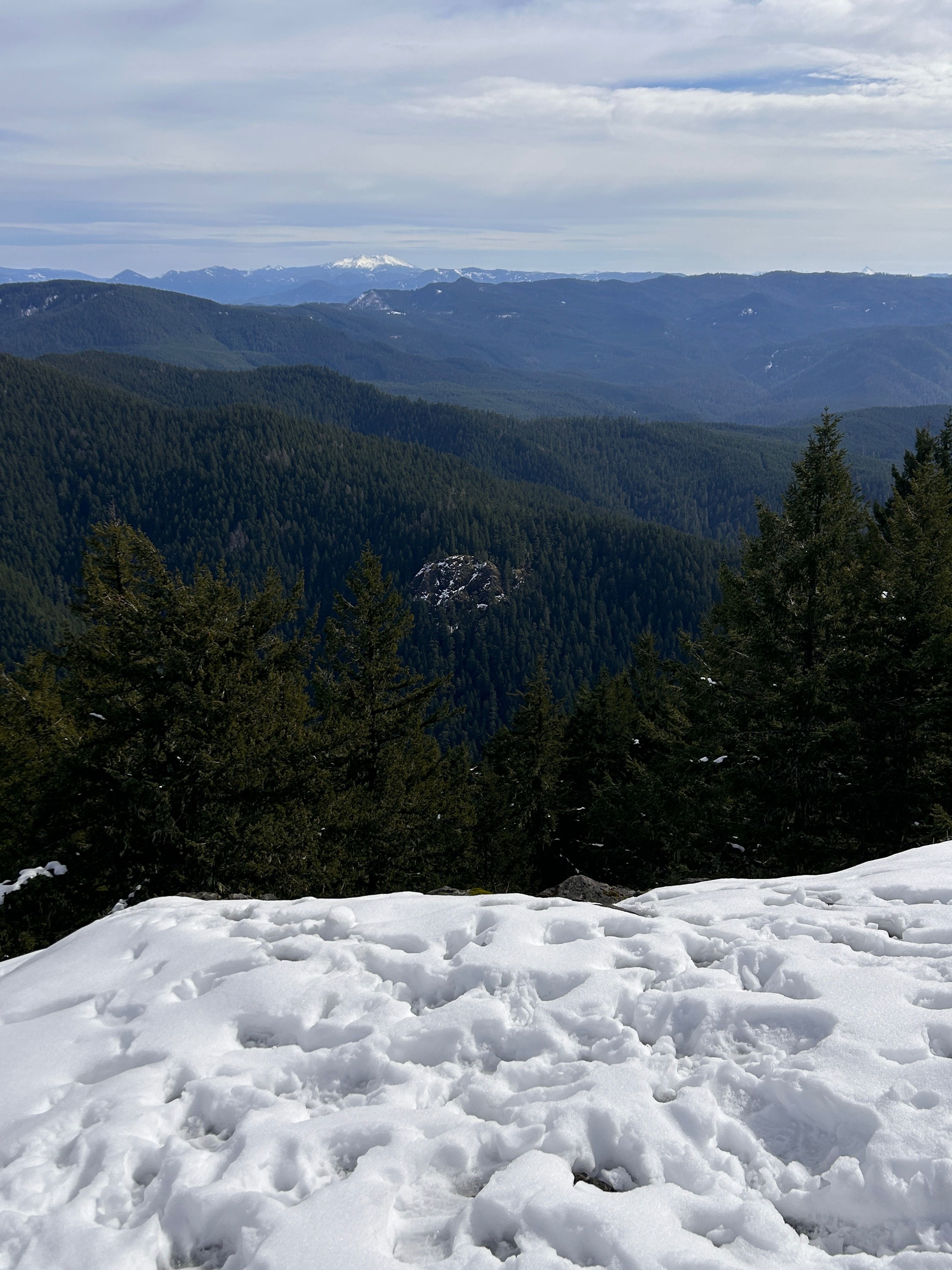 onlyfans Bailey profile banner