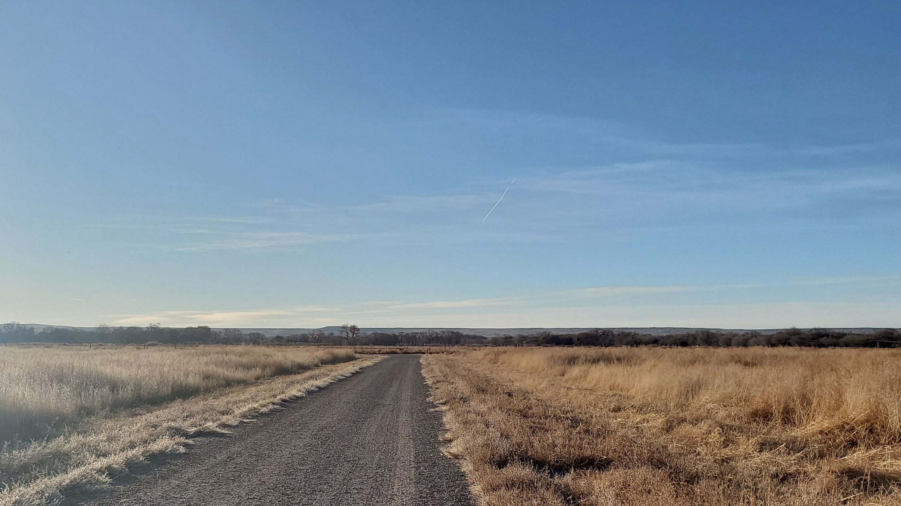 onlyfans Amber Alena profile banner