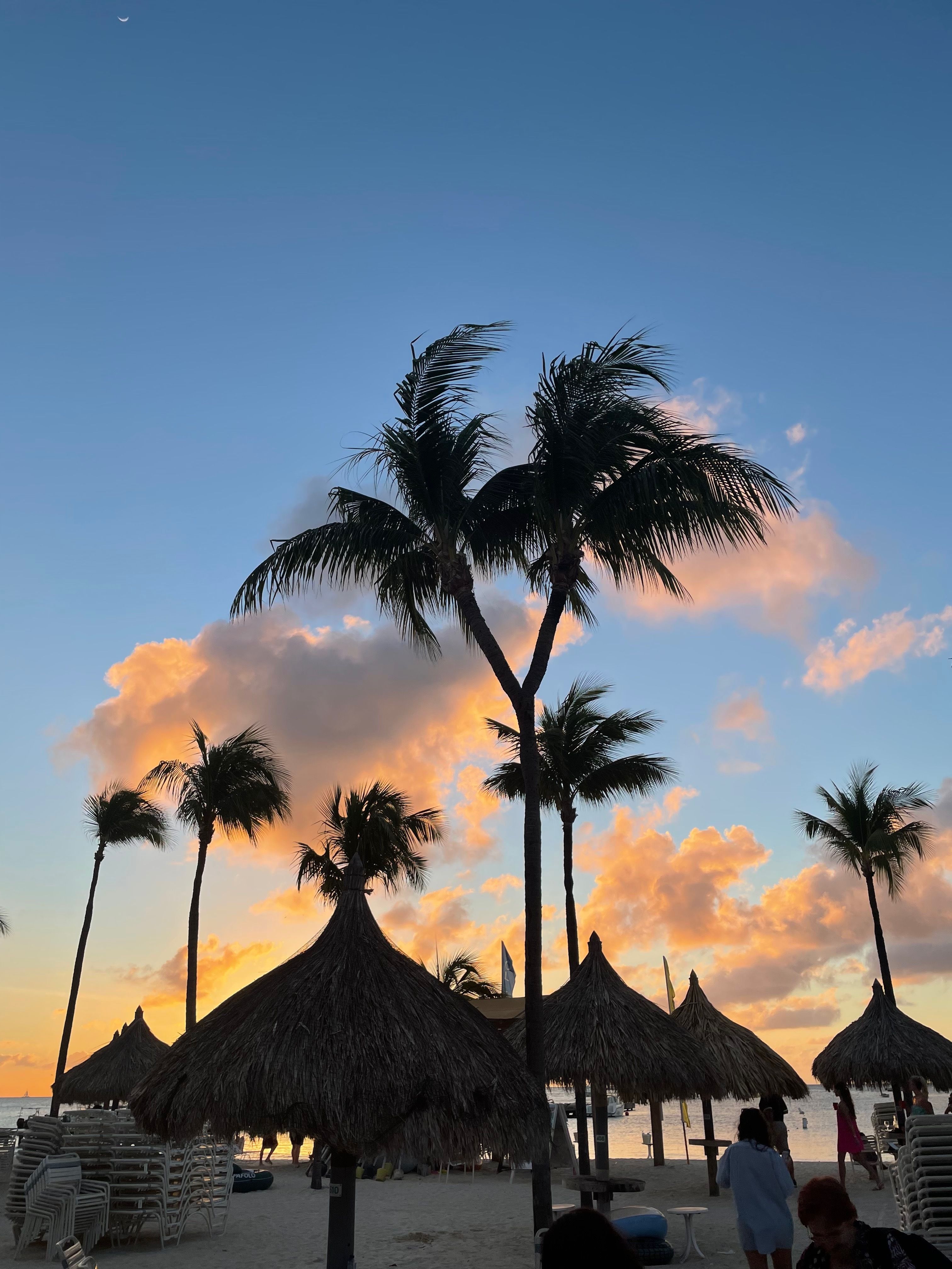 onlyfans Madison Marilyn profile banner