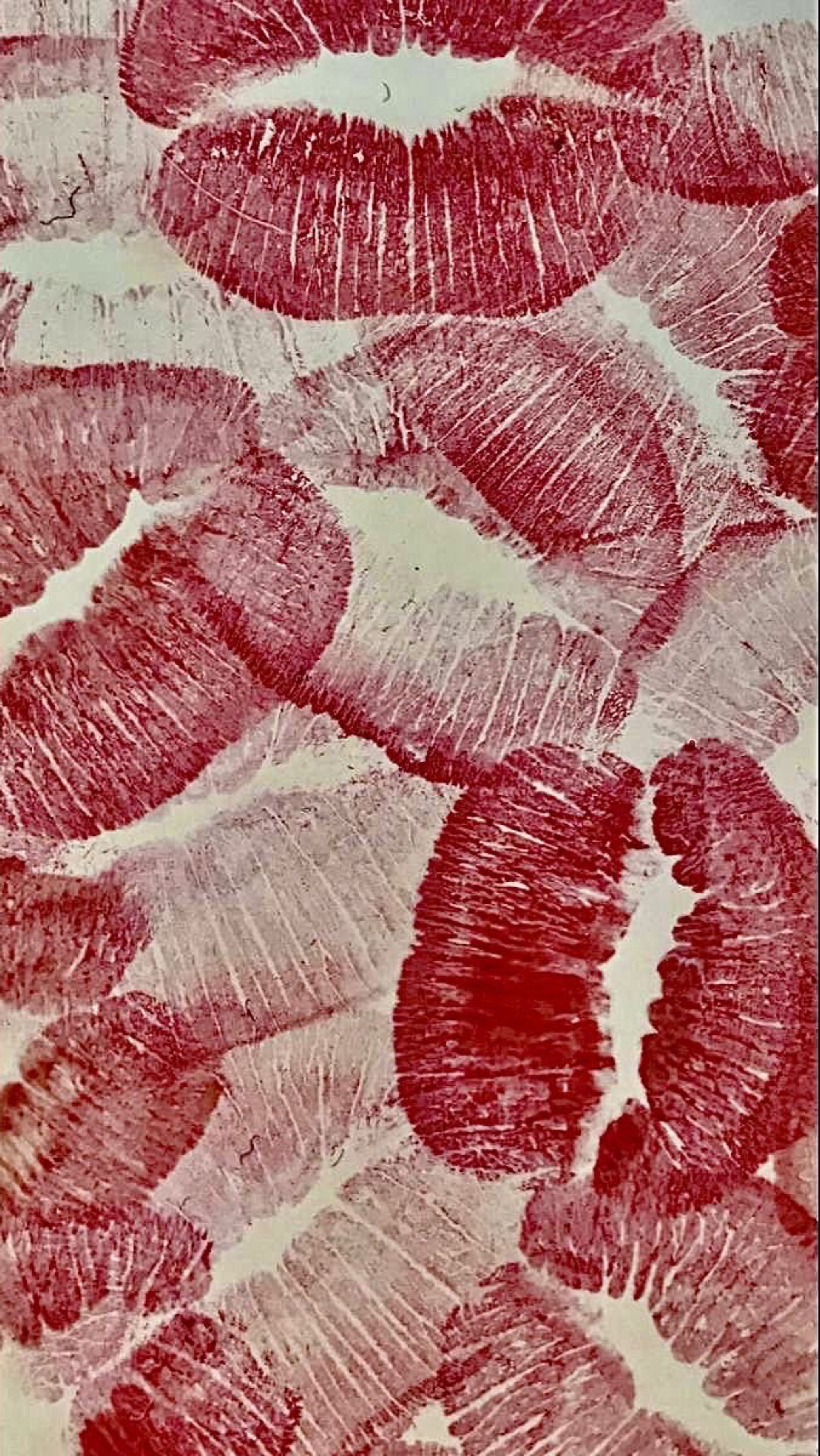 onlyfans Seleβ€οΈ profile banner