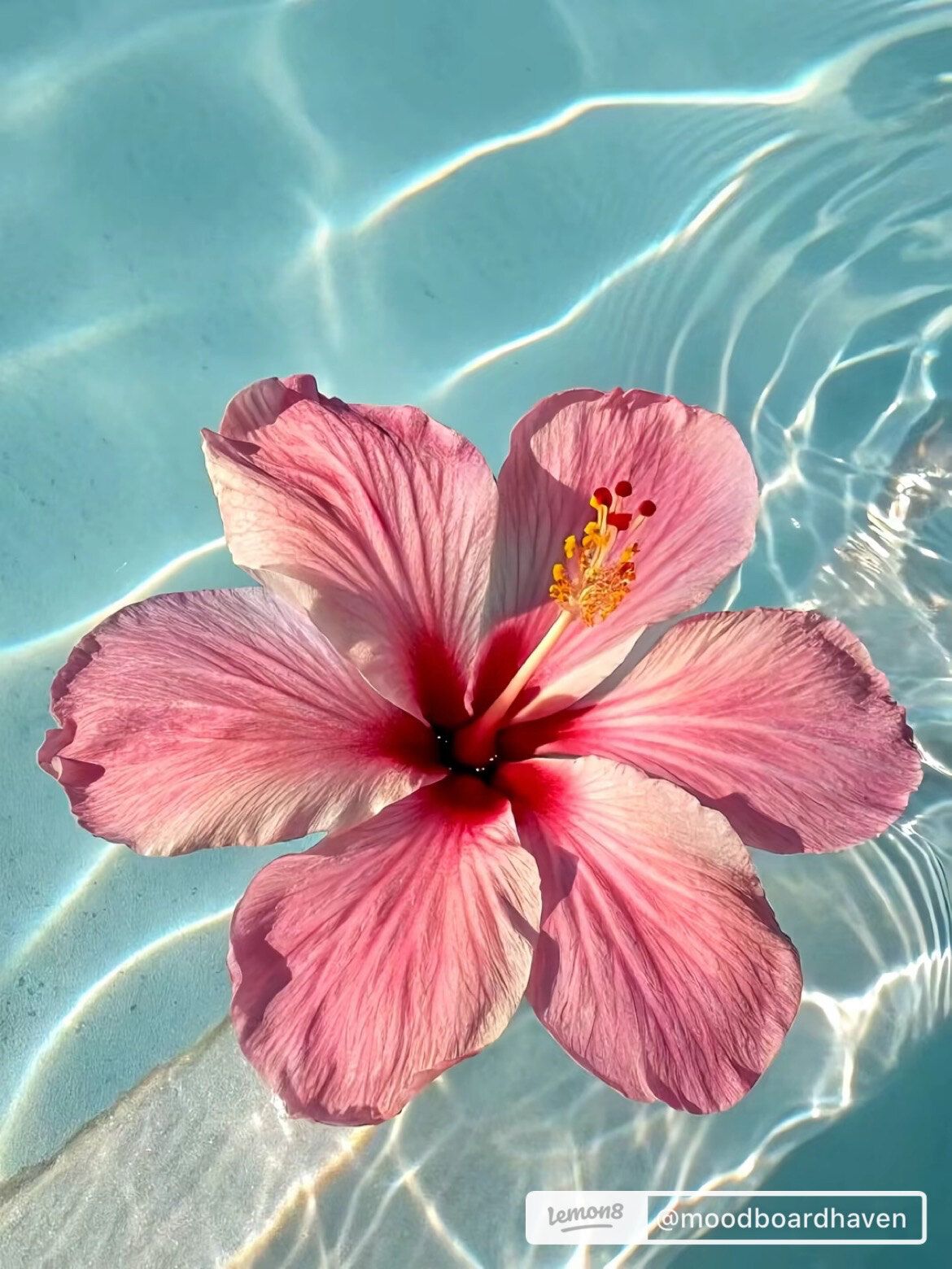 onlyfans Tiffany profile banner