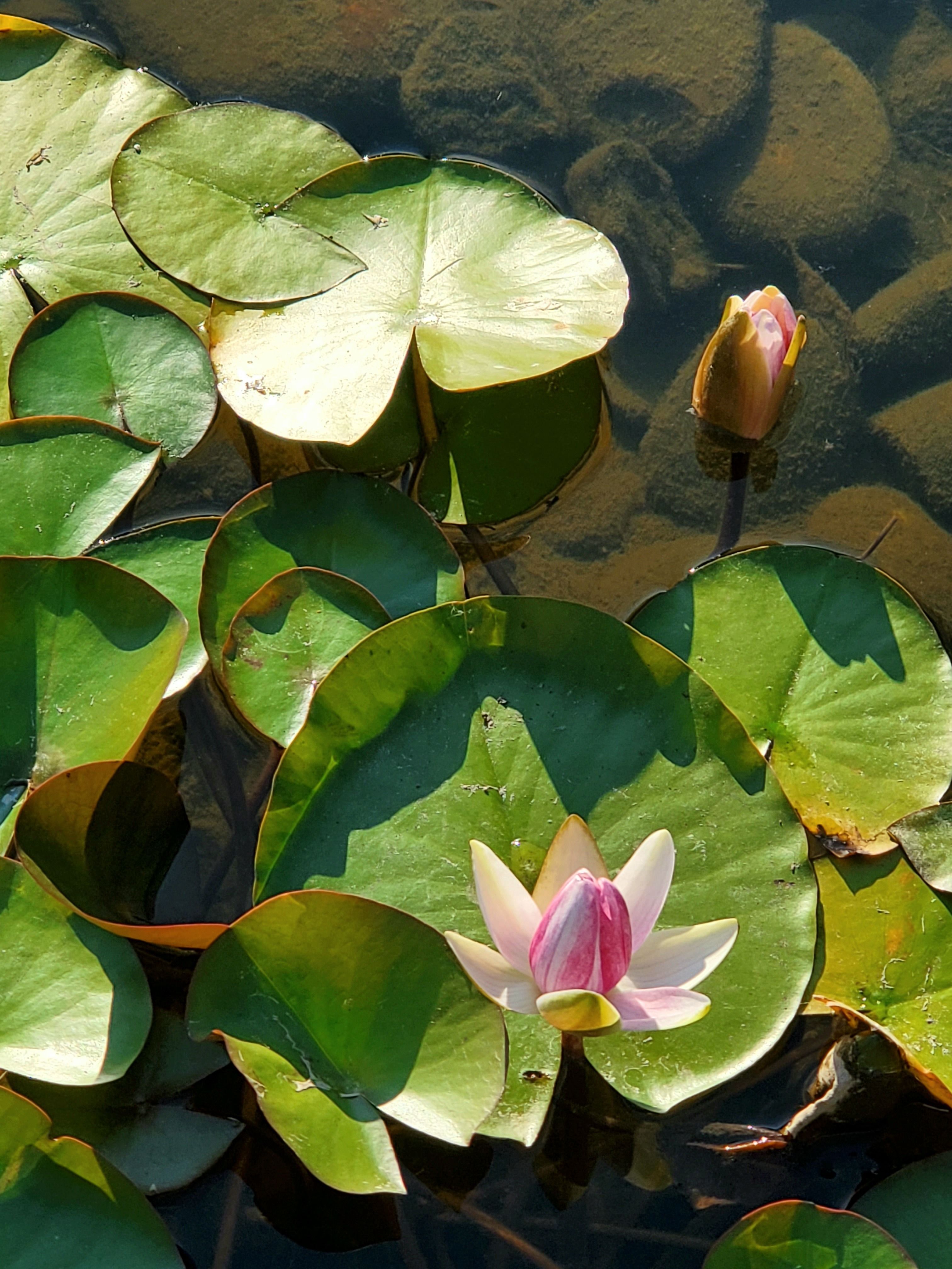 onlyfans Agent 99 profile banner