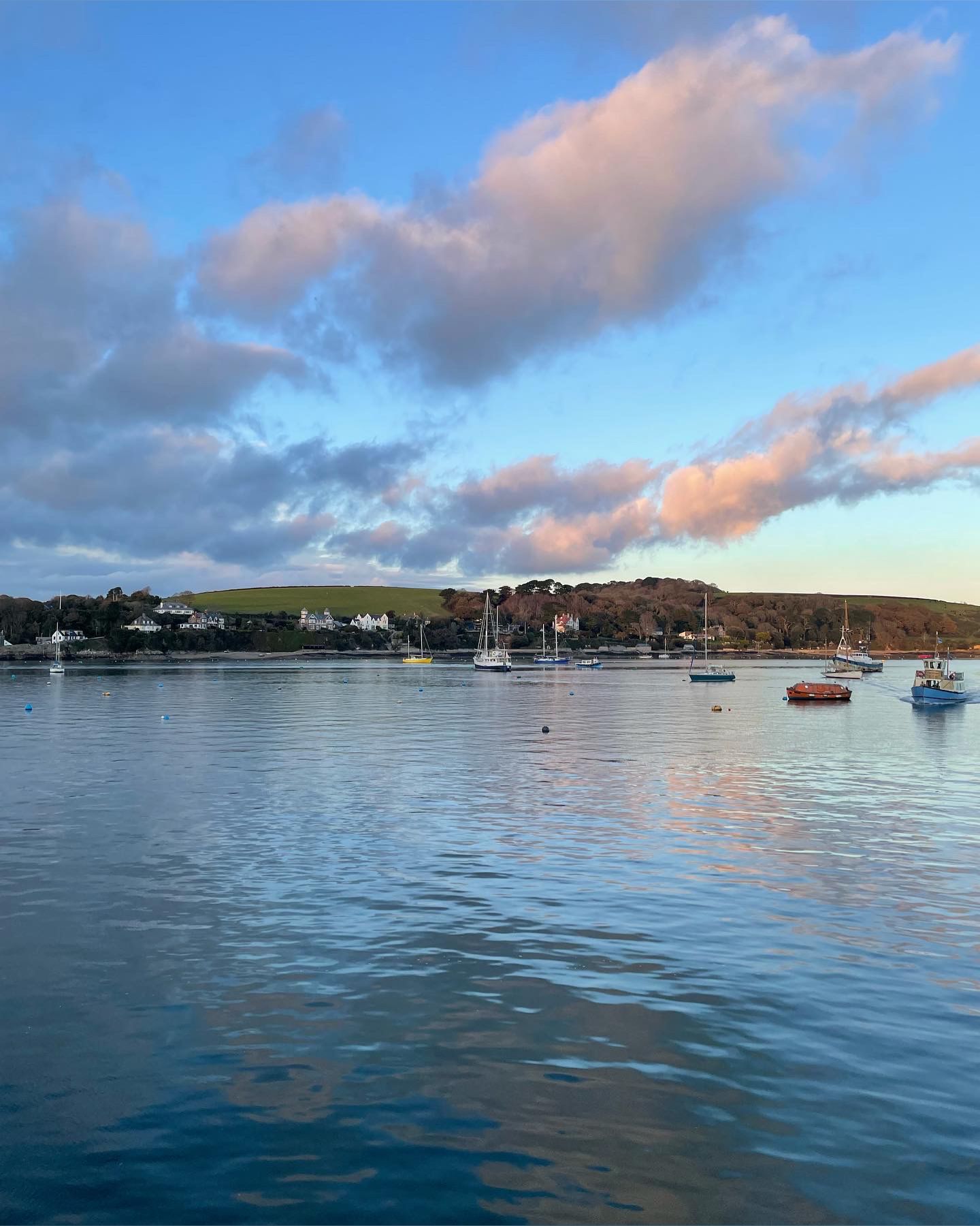 onlyfans Pawg Mama VIP profile banner