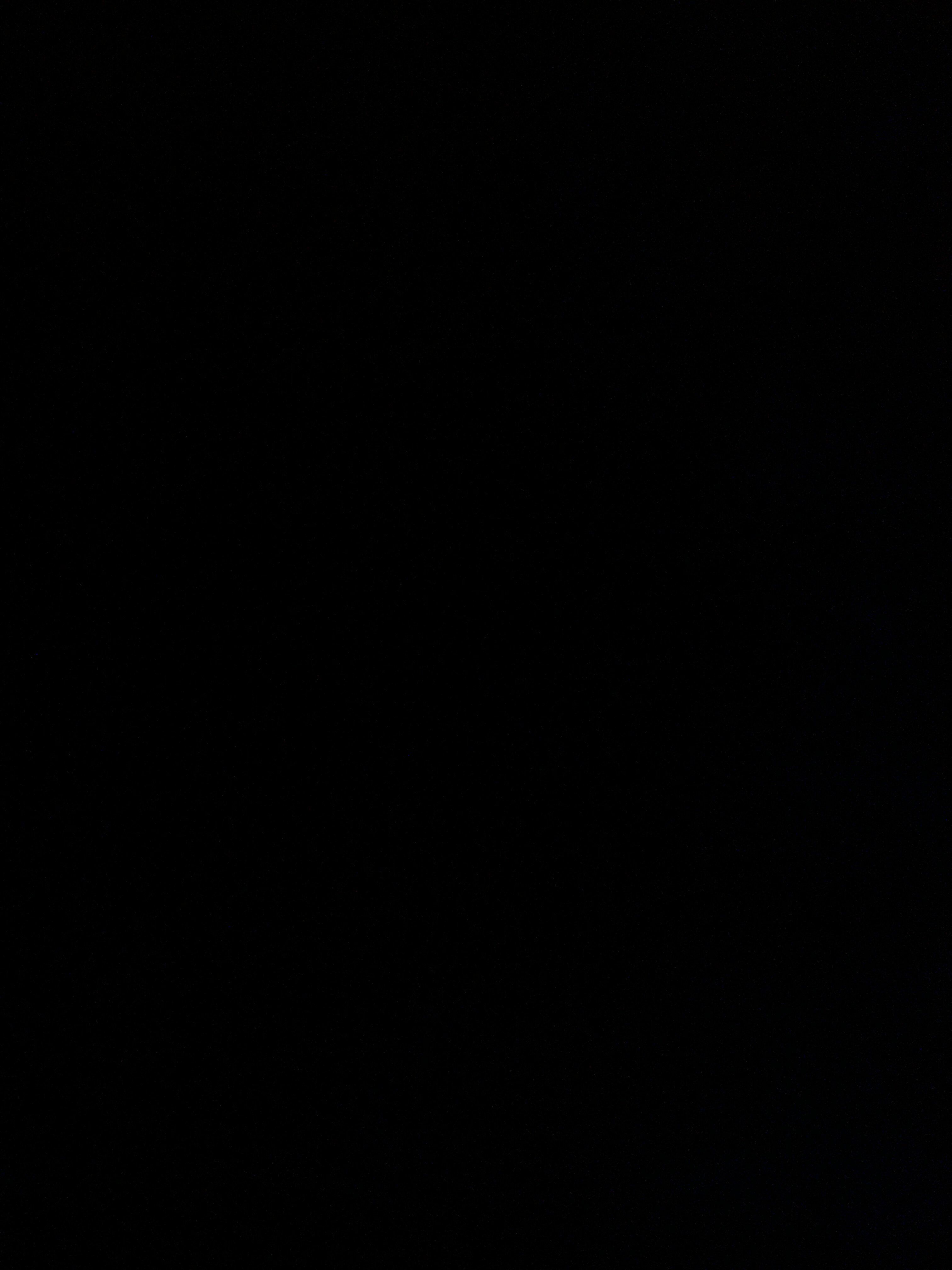 onlyfans anastasia rose profile banner