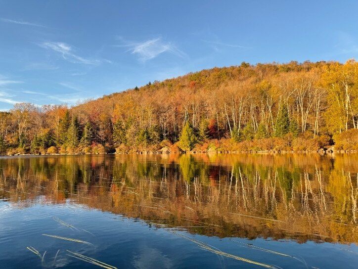 onlyfans harper profile banner